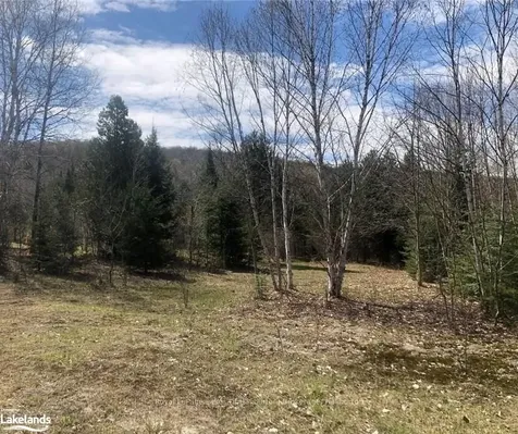 0 Lamar Drive Algonquin Highlands ON K0M 1S0