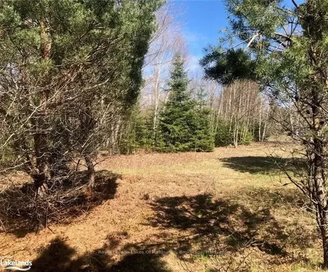 0 Lamar Drive Algonquin Highlands ON K0M 1S0