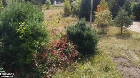 0 Lamar Drive Algonquin Highlands ON K0M 1S0