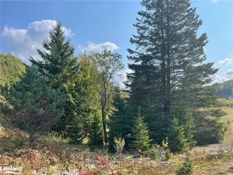 0 Lamar Drive Algonquin Highlands ON K0M 1S0