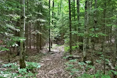 1290 Tattersal Road Dysart Et Al ON K0M 1S0