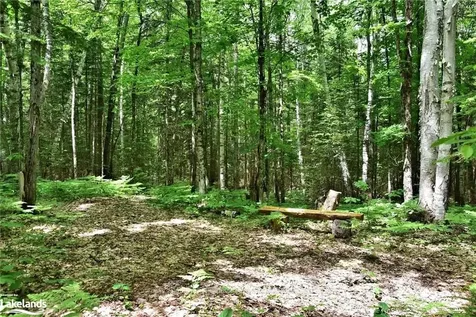 1290 Tattersal Road Dysart Et Al ON K0M 1S0