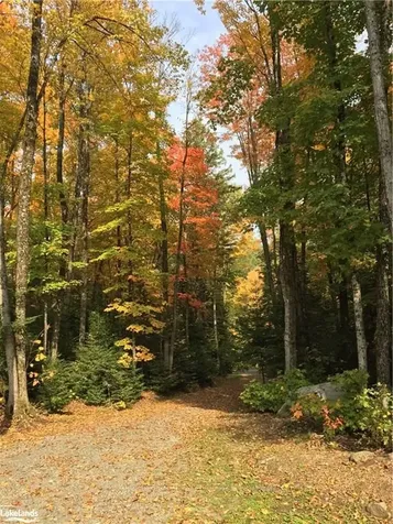 1290 Tattersal Road Dysart Et Al ON K0M 1S0