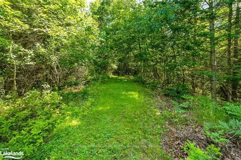 1053 Pennycook Lane Minden Hills ON K0M 2K0