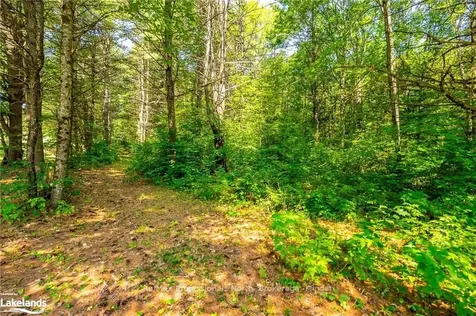 7986 Highway 35 N/a Kawartha Lakes ON K0M 2L0