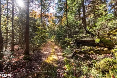 1374 Purbrook Road Bracebridge ON P1L 1X3