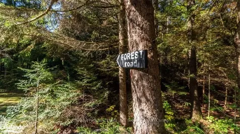 1374 Purbrook Road Bracebridge ON P1L 1X3