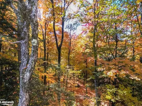 1374 Purbrook Road Bracebridge ON P1L 1X3