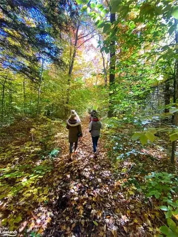 1374 Purbrook Road Bracebridge ON P1L 1X3