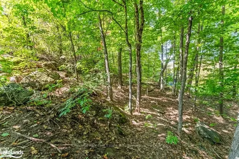 6 Lake Drive Huntsville ON P1H 1G1