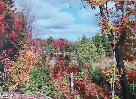 0 Bobcaygeon Road Minden Hills ON K0M 2K0