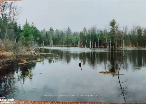 0 Bobcaygeon Road Minden Hills ON K0M 2K0