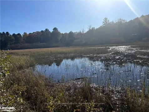 Lot 6 N/a N/a Algonquin Highlands ON K0M 1J2