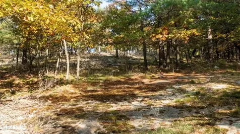 17 Ridgeway Drive Carling ON P0G 1G0