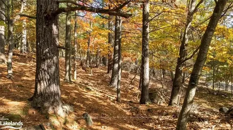 17 Ridgeway Drive Carling ON P0G 1G0