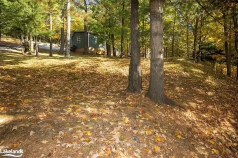 17 Ridgeway Drive Carling ON P0G 1G0