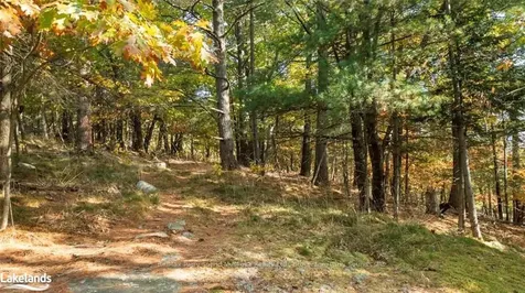 17 Ridgeway Drive Carling ON P0G 1G0