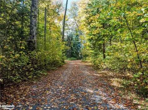 1226 Dignan Road Dysart Et Al ON K0M 1S0