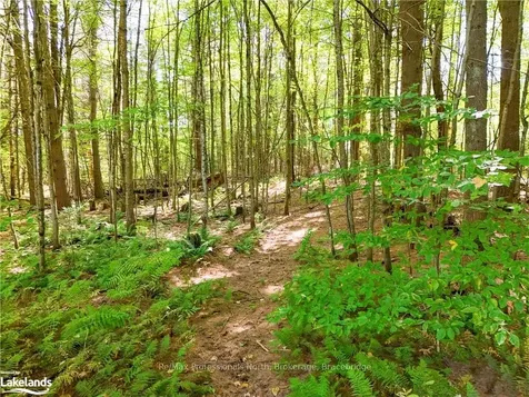 1276 Nicholls Road Bracebridge ON P1L 1W9