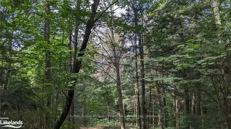 Lot 2 Limberlost Road Lake Of Bays ON P1H 2J6