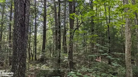 Lot 2 Limberlost Road Lake Of Bays ON P1H 2J6