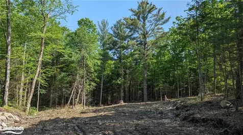 Lot 2 Limberlost Road Lake Of Bays ON P1H 2J6