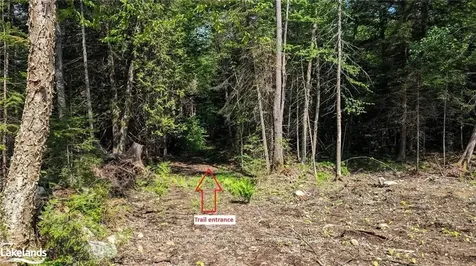 Lot 2 Limberlost Road Lake Of Bays ON P1H 2J6