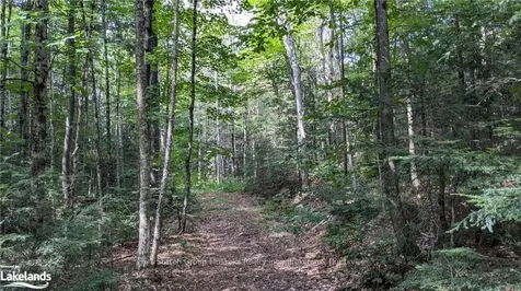 Lot 2 Limberlost Road Lake Of Bays ON P1H 2J6