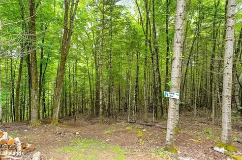 1315 North Drive Dysart Et Al ON K0M 1M0