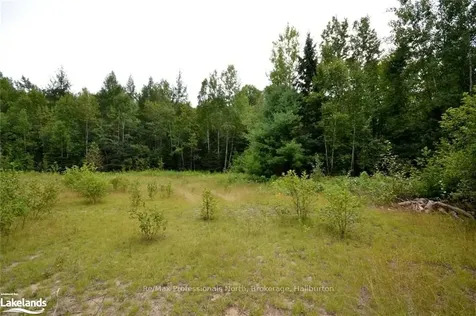 0 Haliburton Lake Road Dysart Et Al ON K0M 1S0