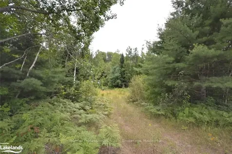 0 Haliburton Lake Road Dysart Et Al ON K0M 1S0