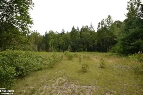 0 Haliburton Lake Road Dysart Et Al ON K0M 1S0