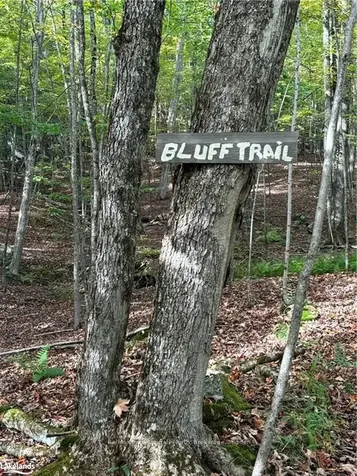 1127 Redstone Lake Road Dysart Et Al ON K0M 1S0