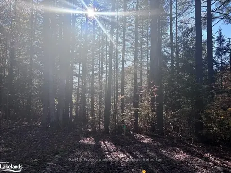 Lot 4 N/a N/a Algonquin Highlands ON K0M 1J2