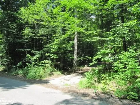 1283 Bay Lake Road Perry ON P0A 1J0