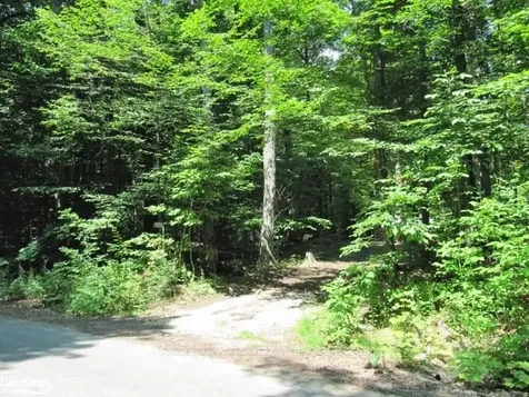 1283 Bay Lake Road Perry ON P0A 1J0