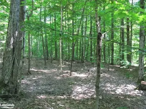 1283 Bay Lake Road Perry ON P0A 1J0