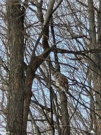 100 Meadow Heights Drive Bracebridge ON P1L 1A4