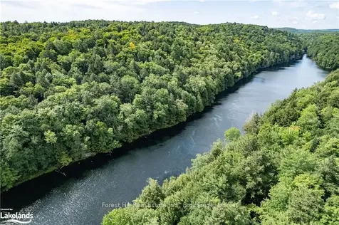 1119 Crumby Lake Drive Algonquin Highlands ON P0A 1E0