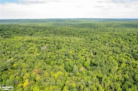 1119 Crumby Lake Drive Algonquin Highlands ON P0A 1E0