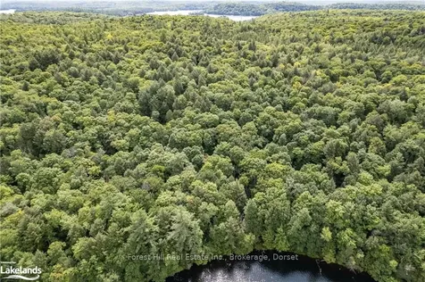 1119 Crumby Lake Drive Algonquin Highlands ON P0A 1E0