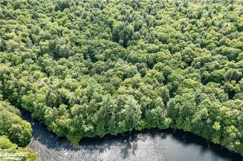 1119 Crumby Lake Drive Algonquin Highlands ON P0A 1E0