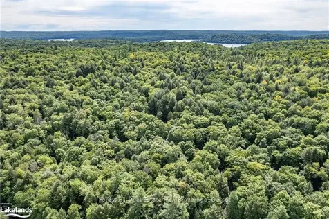 1119 Crumby Lake Drive Algonquin Highlands ON P0A 1E0