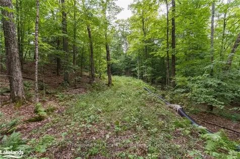 1119 Crumby Lake Drive Algonquin Highlands ON P0A 1E0