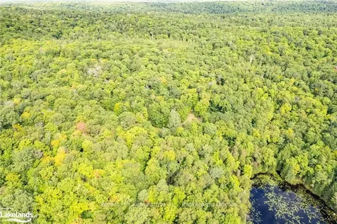 1119 Crumby Lake Drive Algonquin Highlands ON P0A 1E0