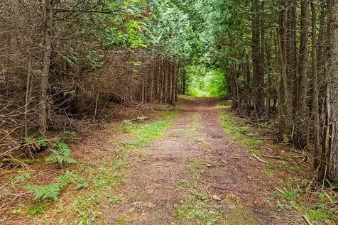 462220 Concession 24 N/a Georgian Bluffs ON N0H 2T0