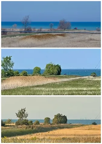 8 Lakelawn Road Grimsby ON L3M 0G1