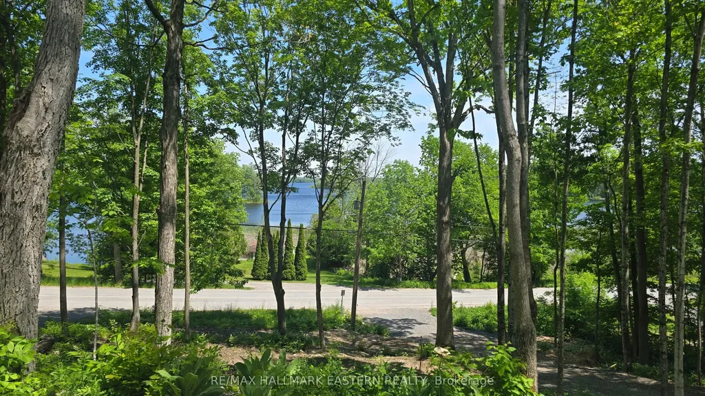 346 Blairton Road Havelock-belmont-methuen ON K0L 1Z0
