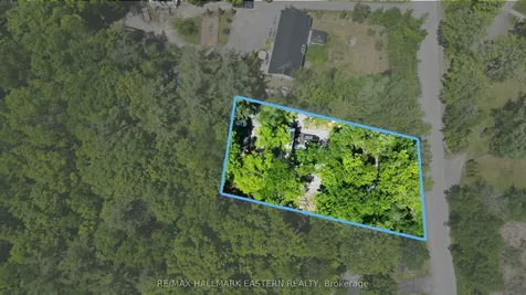 346 Blairton Road Havelock-belmont-methuen ON K0L 1Z0