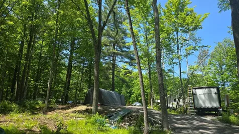 346 Blairton Road Havelock-belmont-methuen ON K0L 1Z0
